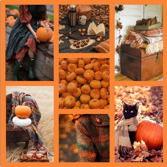 Pottery Barn Leaf Platter 🍁🍂 - Picture 14 of 16